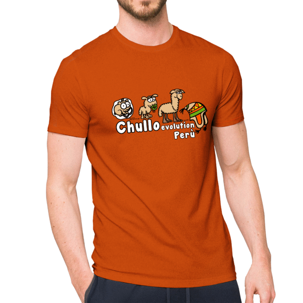 Evolución Del Chullo - Imagen 2